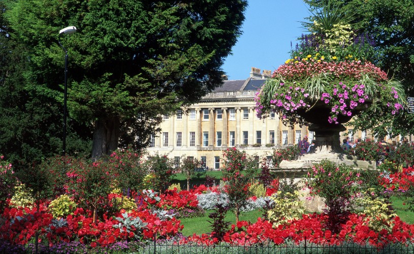 Flowers in Royal Victoria Park